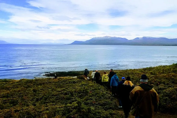 Gruppe von Personen, die auf einem Weg nahe der Küste der Magellanstraße wandern