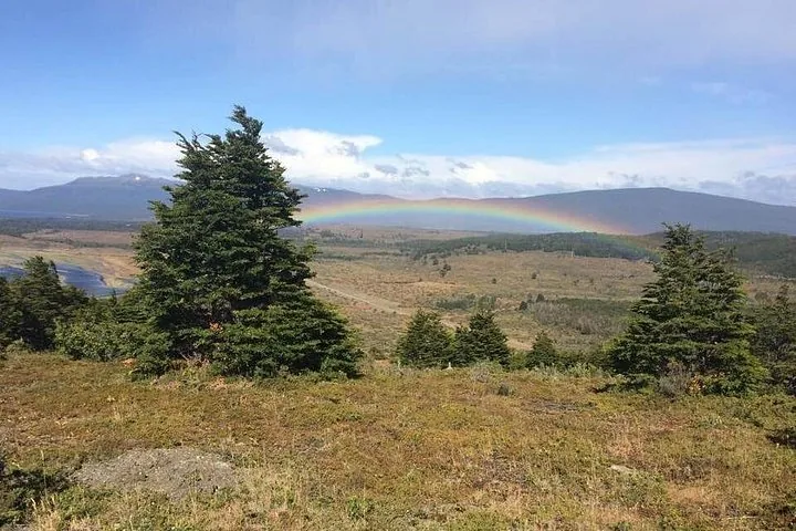 Vue paysagère avec un arc-en-ciel éclatant au-dessus des arbres, des collines et des montagnes lointaines